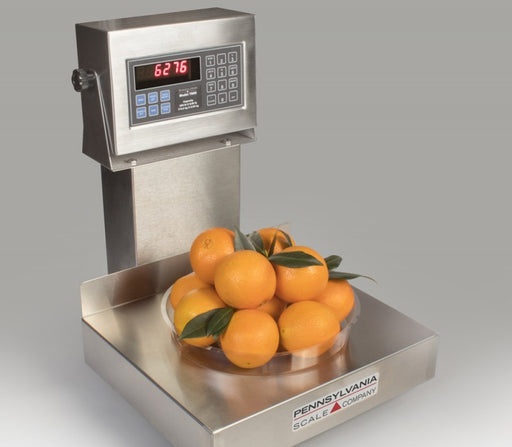Pennsylvania 6200 Series Bench Scale - Discount Scale