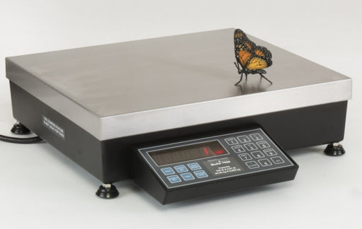 Pennsylvania 7600 Series Bench Scale - Discount Scale