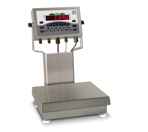 Rice Lake CW-90 Checkweigher/Bench Scale