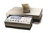 Rice Lake Counterpart® Configurable Counting Scale